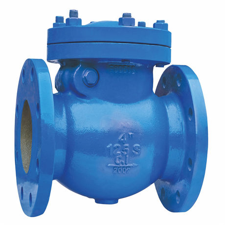 What is a Swing Check Valve.jpg